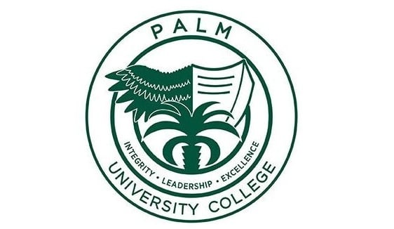 palm university college